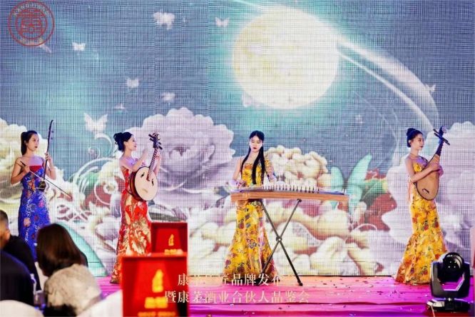 演艺节目 民乐合奏