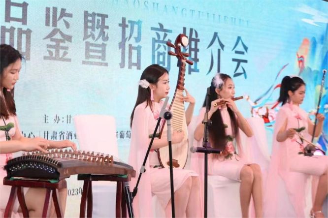 演艺节目 民乐合奏